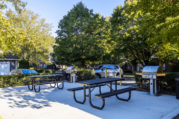 Outdoor picnic/dining area