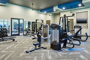 Fort Worth apartment for rent - A gym with a variety of equipment including a squat rack, a leg press machine, and a bench press.