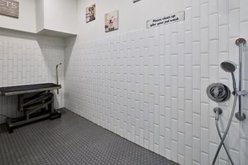 Fort Worth apartment for rent - Bexley Champions Circle