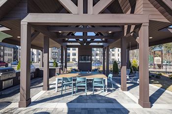 Summerhouse with grills, picnic tables, and tv