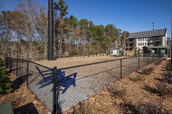 Dog park and pet spa