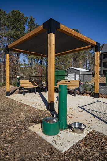 Dog park and pet spa