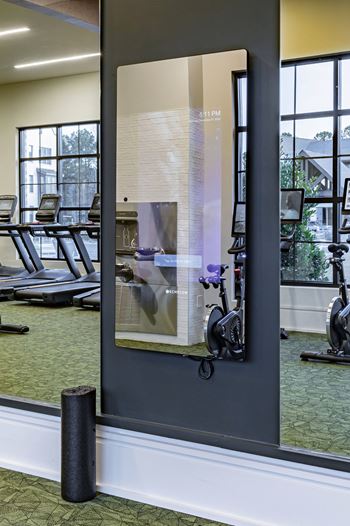 Cardio and strength training fitness center with echelon mirror