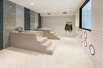 Large pet spa