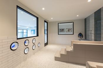 Large pet spa