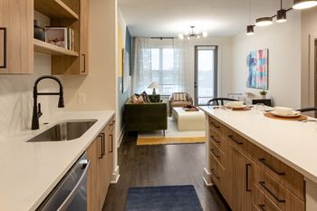European-style natural wood look cabinetry with black hardware (a)