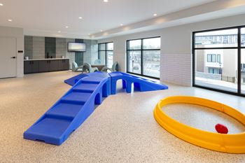 Indoor pet play area