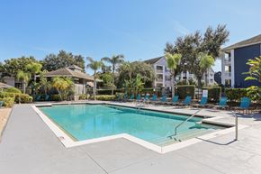 Tampa apartment for rent - Resort style swimming pool with lounge chairs at The Arbor Walk Apartments, Florida, 33617