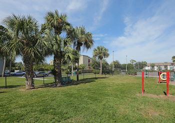 Dog park