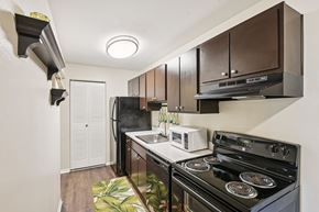 Bradenton apartment for rent - A modern kitchen with a black stove top oven and a white microwave.