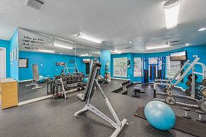 Dallas apartment for rent - A gym with a blue wall and a variety of equipment at The Willows on Rosemeade, Dallas, TX 75287