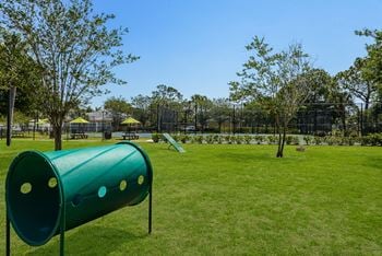 Dog park with agility equipment