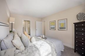 Colorado Springs apartment for rent - Second Model Bedroom at Woodland Hills Apartments, 80918
