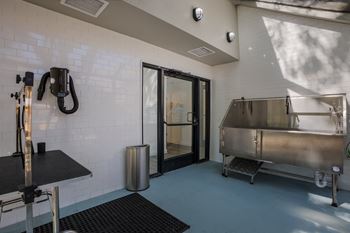 Dog wash station