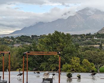 Mountain in the background 