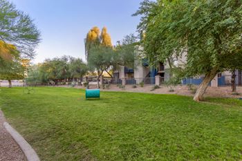 Paw park