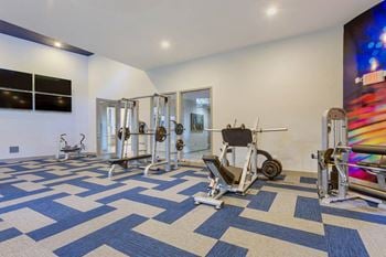 24-Hour multi-level cardio and weightlifting center
