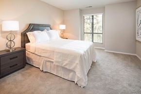 Norcross apartment for rent - Bedroom with Carpeting at Canopy Glen, Georgia, 30093