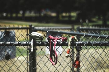 Fenced in pet play area