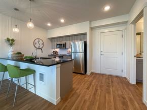 University Place apartment for rent - Color Scheme 2- Kitchen