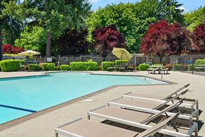 Lacey apartment for rent - our apartments have a resort style pool and lounge chairs