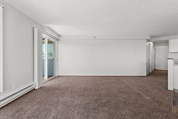 Tacoma apartment for rent - the living room of an apartment with carpet and white walls