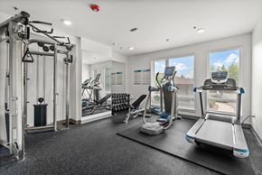 University Place apartment for rent - the gym at the enclave at woodbridge apartments in sugar land, tx