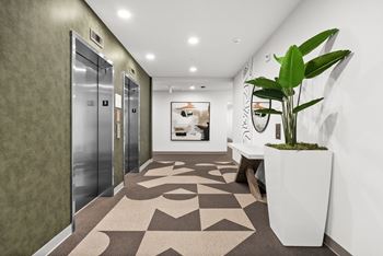 Elevator