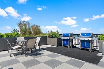 Bbq grills