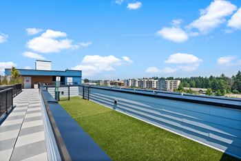 Central bark rooftop dog walk