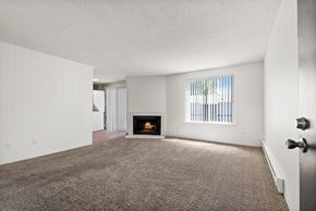 University Place apartment for rent - an empty living room with a fireplace and a window