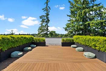 Rooftop deck and bbqs
