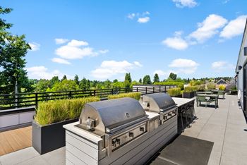 Rooftop deck and bbqs