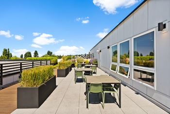 Rooftop deck and bbqs