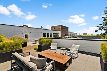 Rooftop deck and bbqs
