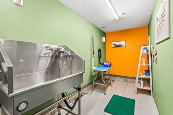 Pet spa