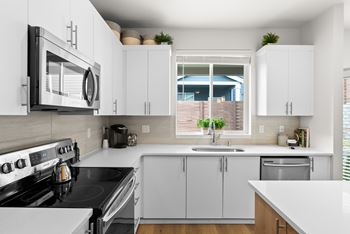 Stainless appliances