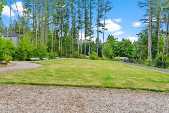 Play field
