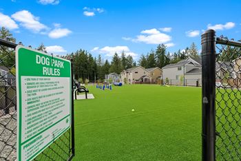 Dog park