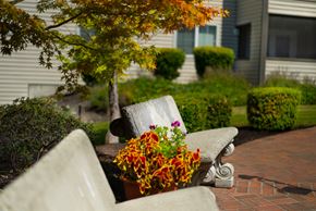 Tacoma apartment for rent - a park bench with a planter of flowers on it