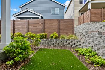Turf backyard space*