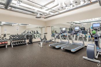 Free weights/machine weights/squat rack