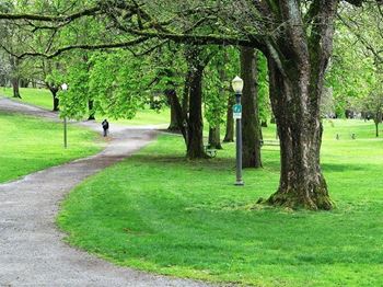 Quick access to wright park with trails
