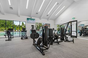 Wesley Chapel apartment for rent - A gym with a variety of equipment including treadmills, weights, and exercise machines.