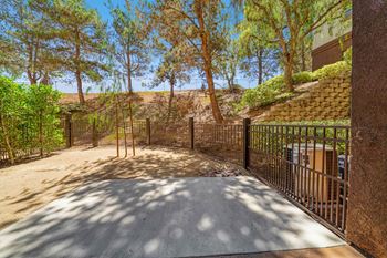 Backyard*