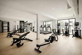 Free weights