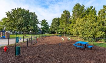 Exclusive dog park