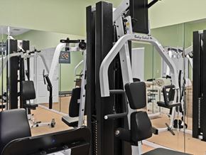 Wimauma apartment for rent - a row of exercise machines in a gym at The Groves at Wimauma Apartments , Florida 33598