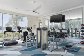 Orlando apartment for rent - a gym with a view of the beach and palm trees at Lakeside Villas, Orlando Florida