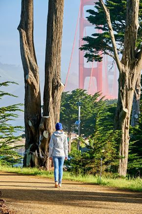San Francisco townhouse for rent - A person in a white jacket and blue jeans is walking down a dirt path with trees on either side.